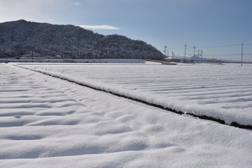 Obraz premium 雪景色