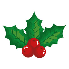 Fototapeta premium leafs and seeds christmas decoration vector illustration design