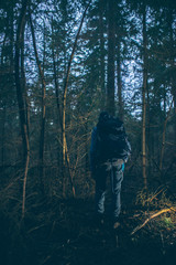 Fototapeta premium Backpacker hiking in dark winter forest at dusk. Rear view.