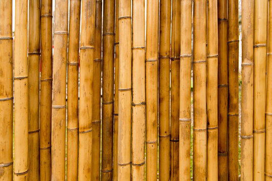 A fence made of bamboo as a background