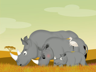 family of rhino in the savannah