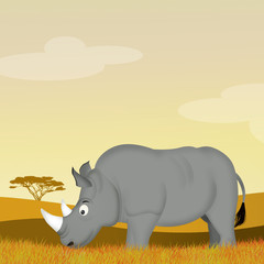 Fototapeta premium rhino in the savannah