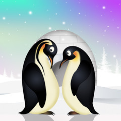 couple of penguins