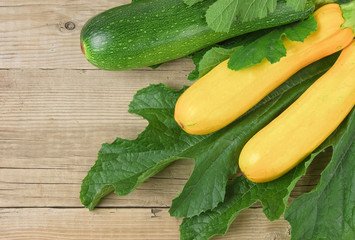 zucchini with leaves