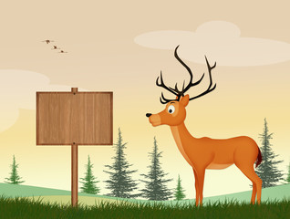 illustration of deer in the forest