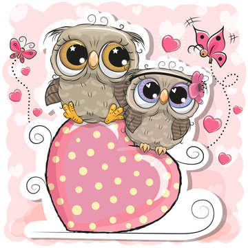 Two Owls is sitting on a heart on a pink background