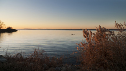 Fototapeta na wymiar Sunrise on the lake, frosty wild grasses, rippled water