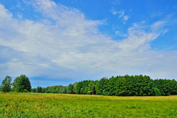 Fototapeta na wymiar Białe chmury na błękitnym niebie ponad zielonymi polami i lasem w słoneczny dzień.
