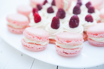 Obraz na płótnie Canvas Raspberry Cake with Macarons