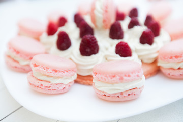 Raspberry Cake with Macarons