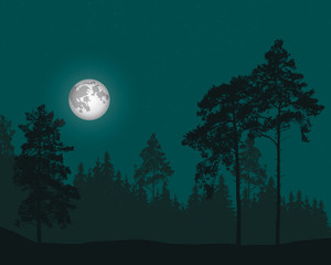 vector illustration of coniferous forest under the sky with stars and full moon