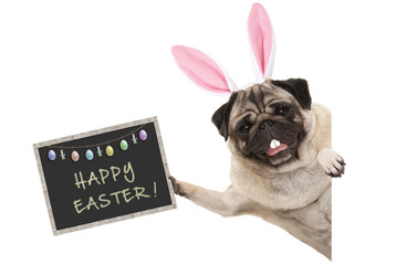 Easter bunny pug puppy dog with ears, eggs and blackboard with text happy easter, sideways from white banner