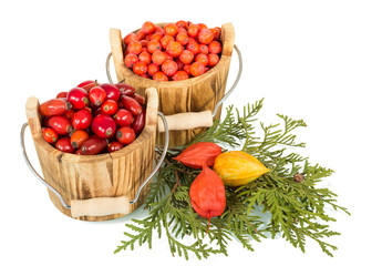 Two full wooden bucket of Rowan berries and rose hips isolated on white