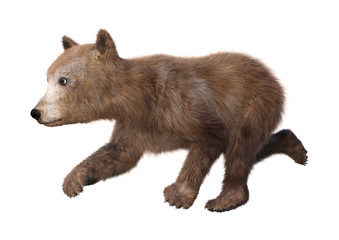 Fototapeta premium 3D Rendering Brown Bear Cub on White