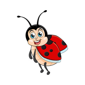 Ladybug cartoon funny  isolated on white background