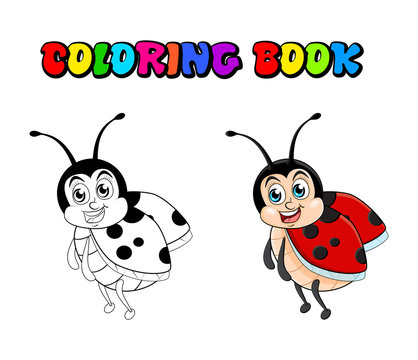 Ladybug cartoon coloring book isolated on white background