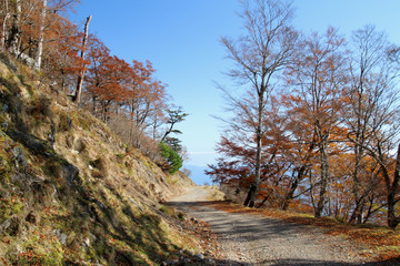 秋の剣山スーパー林道