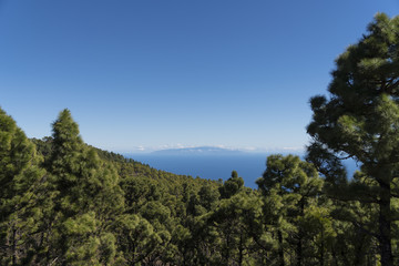 Landscape at the volcano route hiking trail near Los Canarios ( Region Fuencaliente de La Palma ) at La Palma / Canary Islands