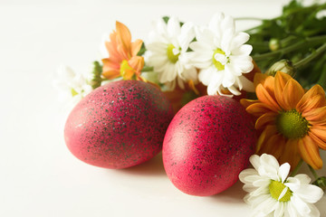 Red Easter eggs and flowers of a chrysanthemum on a white background, soft focus