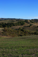 Obraz premium Cultivated fields in Tuscany, Italy
