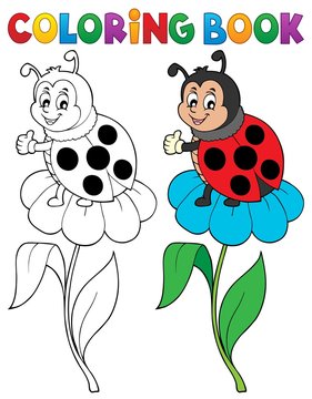 Coloring book ladybug theme 6