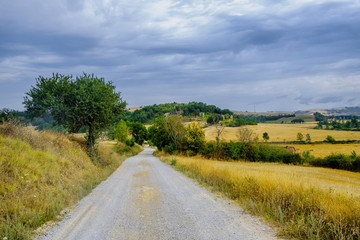 Fototapeta na wymiar Tuscany: the road to Torre a Castello