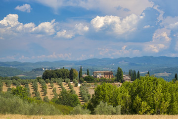 Naklejka premium Summer landscape in the Chianti region (Tuscany)