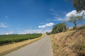 Fototapeta na wymiar Summer landscape in the Chianti region (Tuscany)