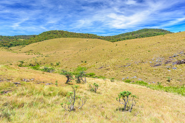 Fototapeta premium Beautiful landscape meadow from World's End within the Horton Plains National Park in Sri Lanka.