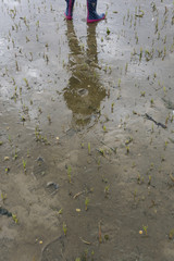 Reflection boots on a wet beach