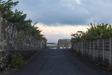 Typical street between banana plantations at La Palma / Canary Islands near Puerto Naos and El Remo