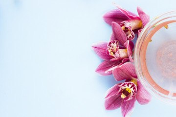 Spa and wellness setting with orchid and oil on blue background copyspace