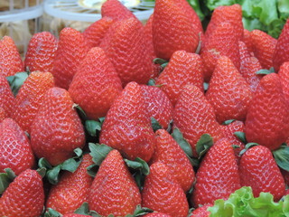 Many fresh strawberries