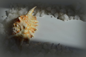 Морская соль для ванны и ракушка