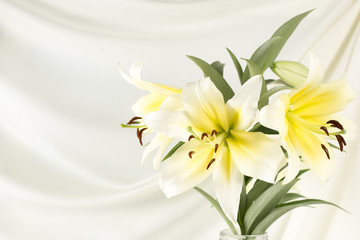 Fototapeta na wymiar Beautiful lily white yellow on white fabric