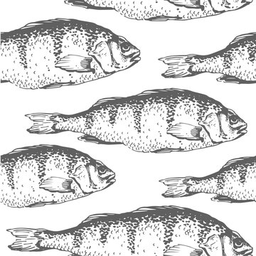 Vector illustration with sketches of fish. Hand-drawn black and white seamless background  seafood. Carp .