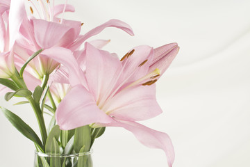 Obraz na płótnie Canvas Pink lilies in a glass vase on a white background