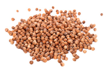 coriander seeds on white background