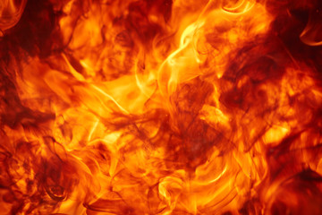 Fire in the fireplace close-up. Flame of fire. Hellfire.