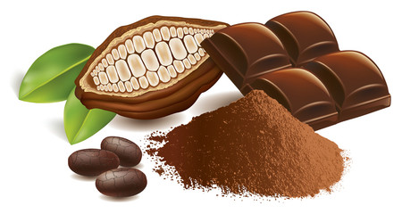 cacao beans with chocolate table and powder