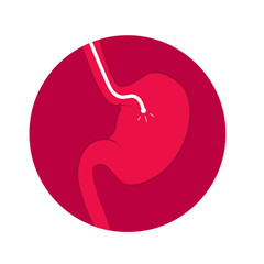 Stomach endoscopy icon