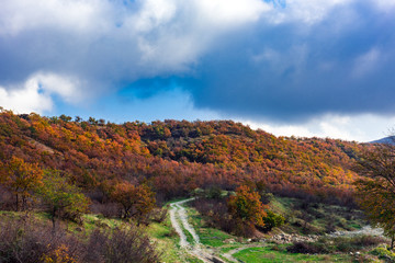Dirt road  between autumn yellow trees on mountainside
