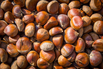 Background of nuts and hazelnuts