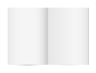  Blank opened magazine