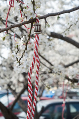 Traditional spring bracelet on a blossoming cherry tree.