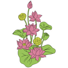 vector color pink lotus flower pattern on white simple hand drawn meditaton symbol