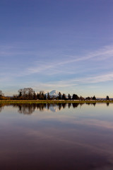 Fototapeta premium Rainier Reflection