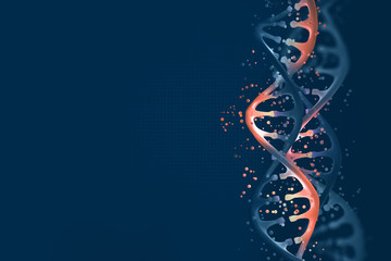 Futuristic design element on the topic of DNA research. 3d illustration of a DNA helix on a dark background