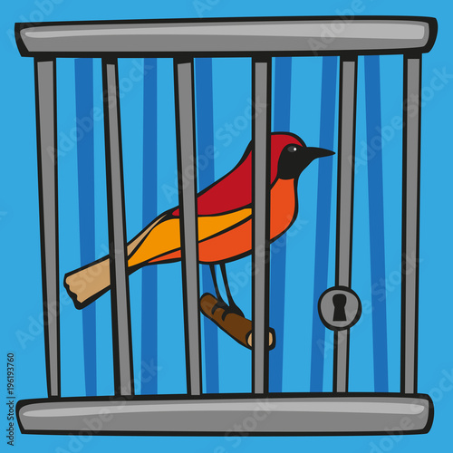Oiseau Cage Liberté Prison Concept Libre Symbole