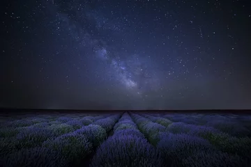 Fotobehang The Milky Way galaxy rising above lavender field © Adi